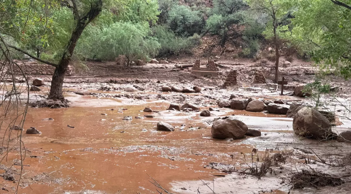 Imaginea prezintă consecințele unei viituri, cu apă maronie plină de noroi și sedimente care inundă o zonă naturală.