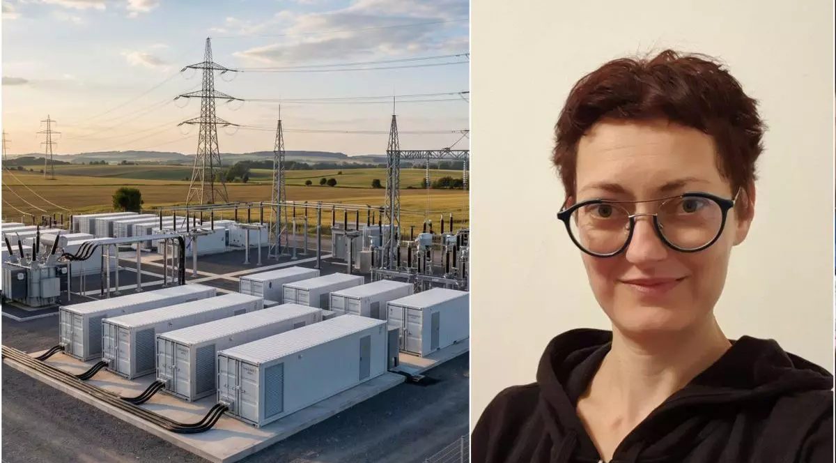 În stânga, sunt baterii de stocare a energiei și rețele electrice, iar în dreapta este Otilia Nuțu, expert în politici de energie