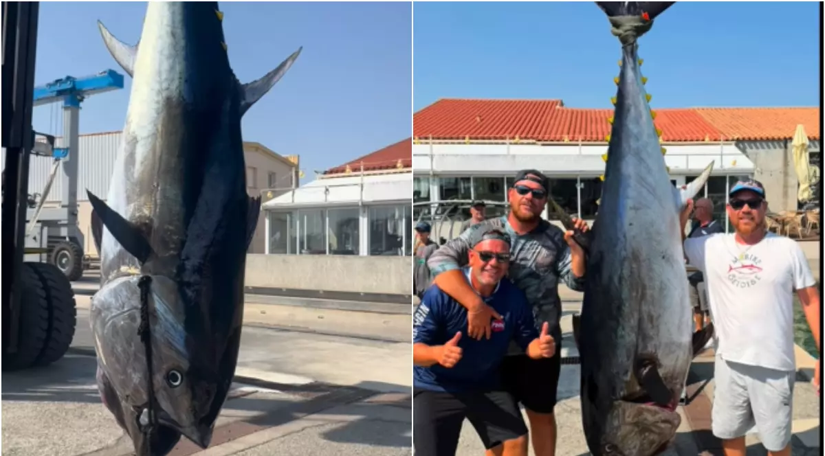 Imaginea surprinde un ton uriaș suspendat cu ajutorul unei macarale într-un port, în timp ce trei pescari pozează zâmbind lângă captura impresionantă. Dimensiunile excepționale ale peștelui sunt evidențiate de comparația cu oamenii din imagine, sugerând că este una dintre cele mai mari capturi realizate de aceștia.
