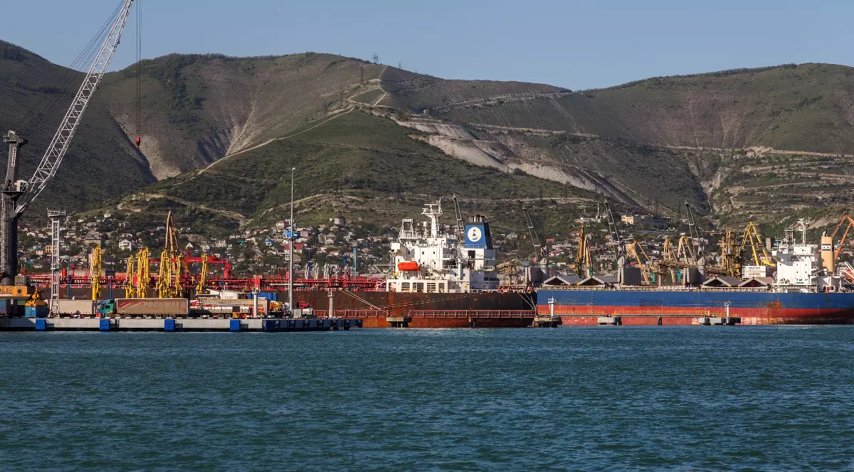 În imagine se vede un port maritim, cu mai multe nave comerciale și instalații pentru încărcarea și descărcarea mărfurilor. În fundal se află un relief muntos, iar zona portuară este dominată de macarale și infrastructură industrială.