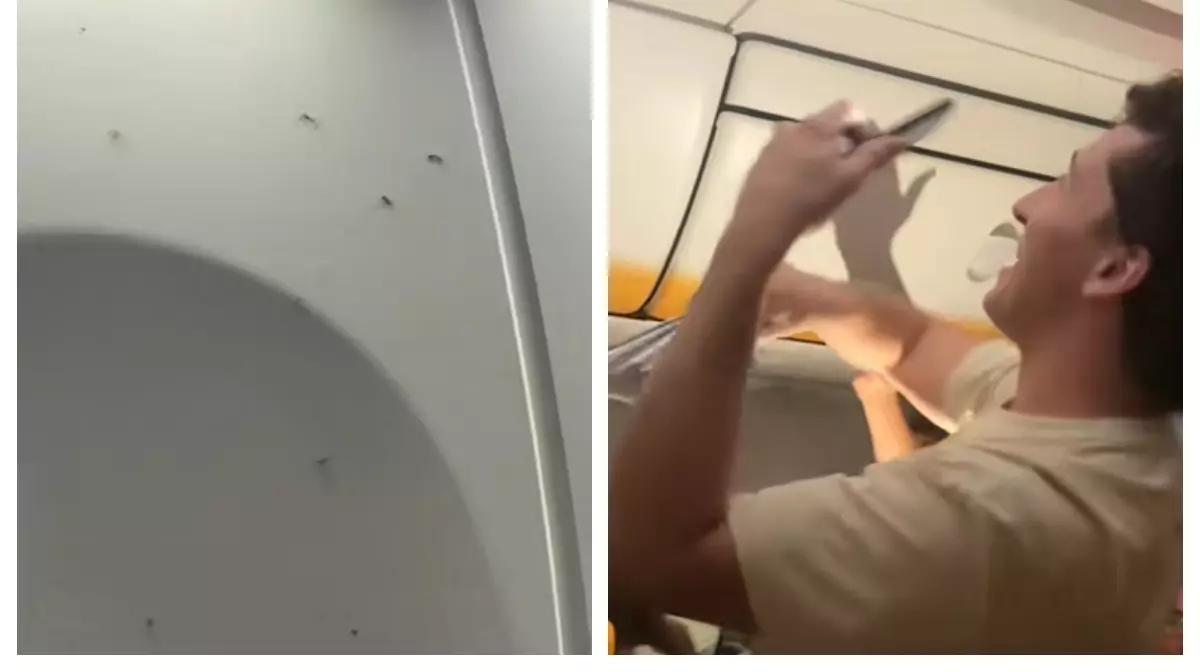 Invazie de țânțari într-un avion Ryanair la Milano