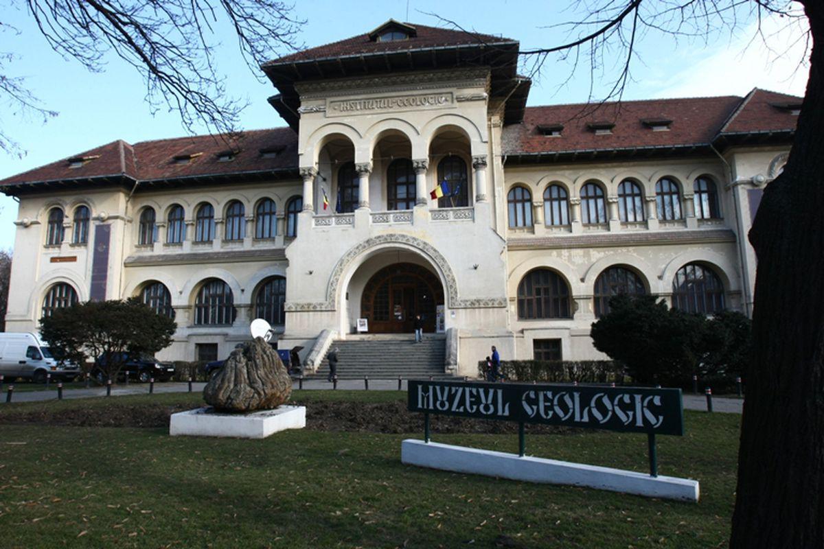 La Muzeul Naţional De Geologie Se Deschide Atelierul De Creaţie Primăvara La Muzeu Stiri știri Romania Libertatea Libertatea
