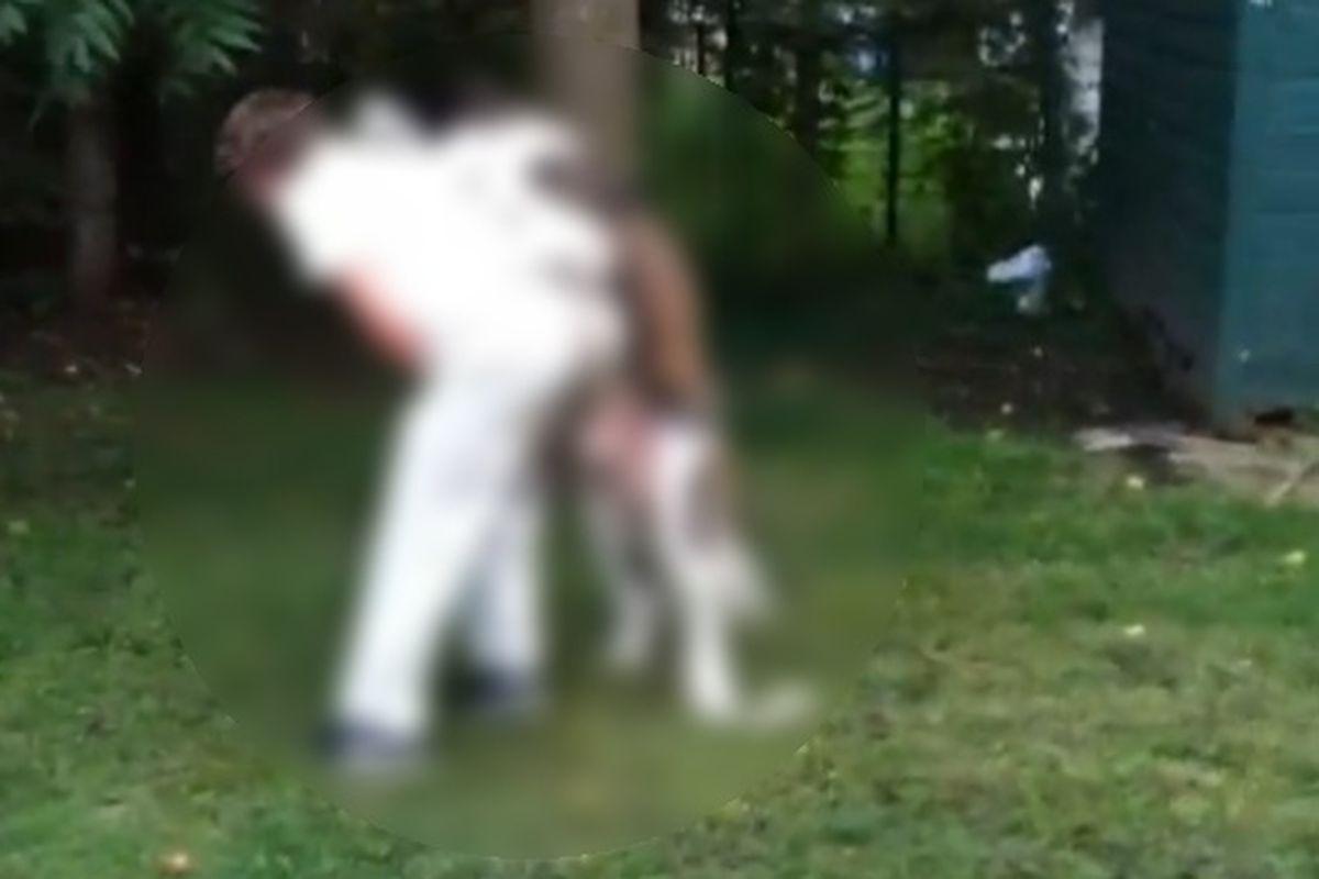 Jub Jub Cainele Care Face Sex Si Cu Femei Si Cu Bărbaţi Video
