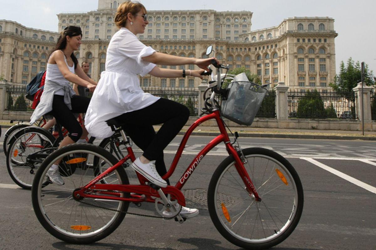 Foarte Ieftin Incălţăminte Calitate Service Biciclete Cutitul De Argint Carpathian Endemics Ro