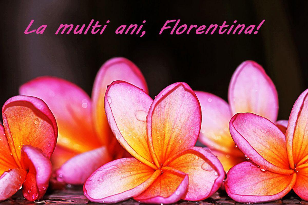 Mesaje De Florii Trimite Cele Mai Frumoase Mesaje De Florii