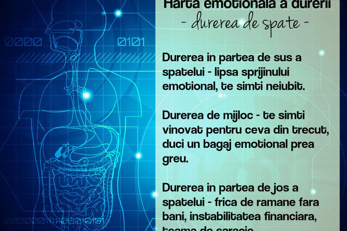 Harta Emoţională A Durerii Vezi Explicaţia Specialistilor Lifestyle Sănătate și Fitness Libertatea Libertatea
