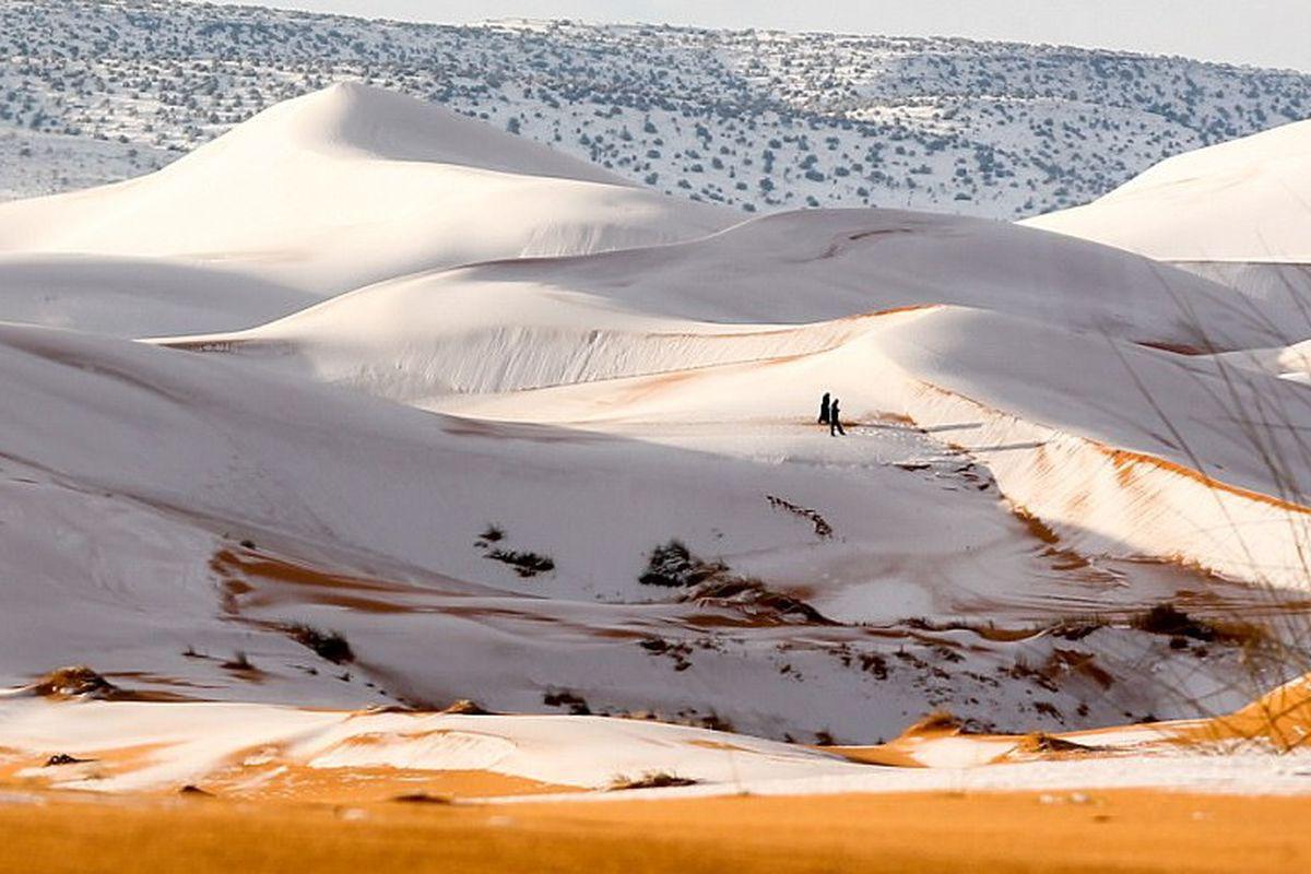 A Nins In Deșertul Sahara Este A Treia Oară In Ultimii 37 De Ani Cand Are Loc Acest Fenomen Libertatea
