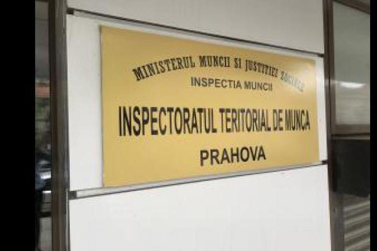 Fabrică De Mobilă Amendată A Chemat Muncitorii La Serviciu Deși Se Aflau In șomaj Tehnic Libertatea