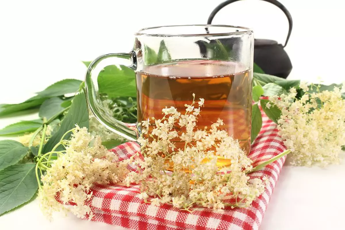 hemani herbal slimming ceai recenzii carnea de vită jerky vă ajută să pierdeți în greutate
