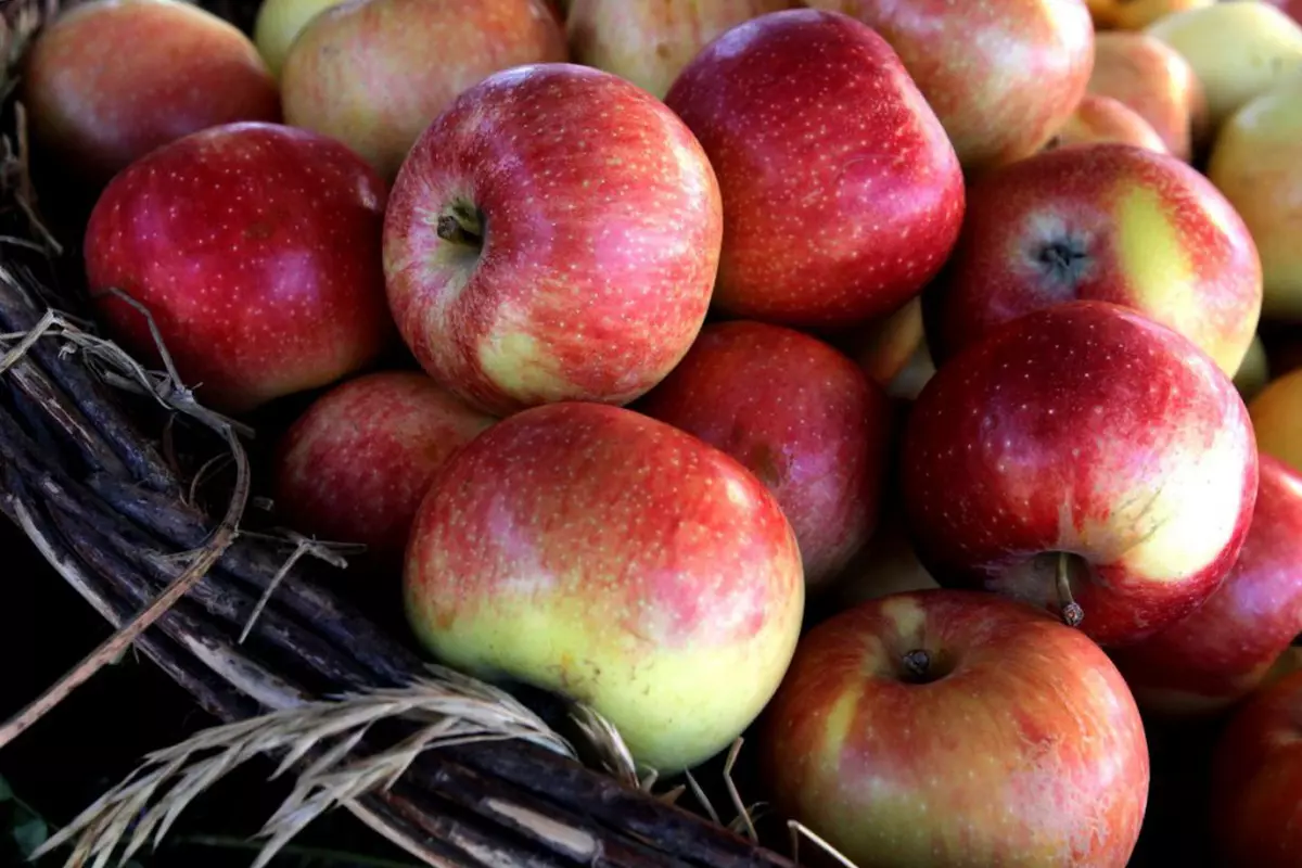 #CITEȘTE: Cura de slăbire cu mere. 10 kg în 7 zile - KFetele