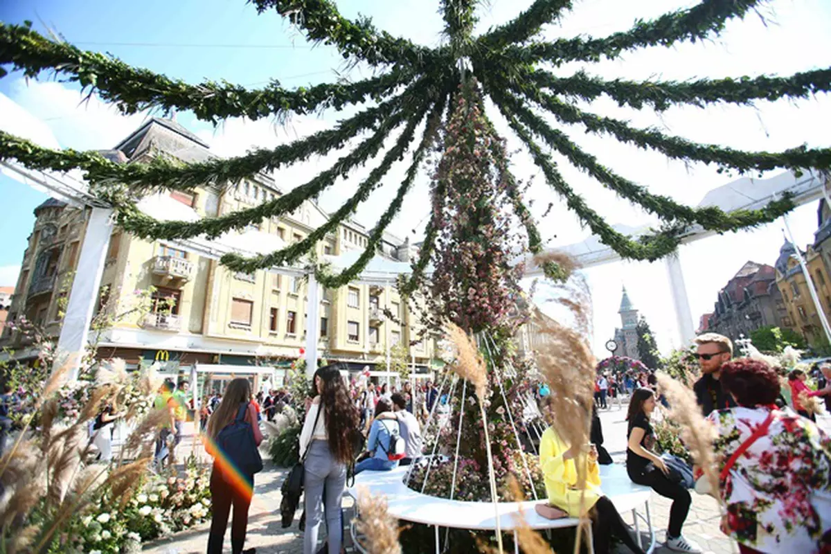 Festivalul Florilor Timfloralis De La TimiÈ™oara A Costat Peste 300 000 Euro Libertatea