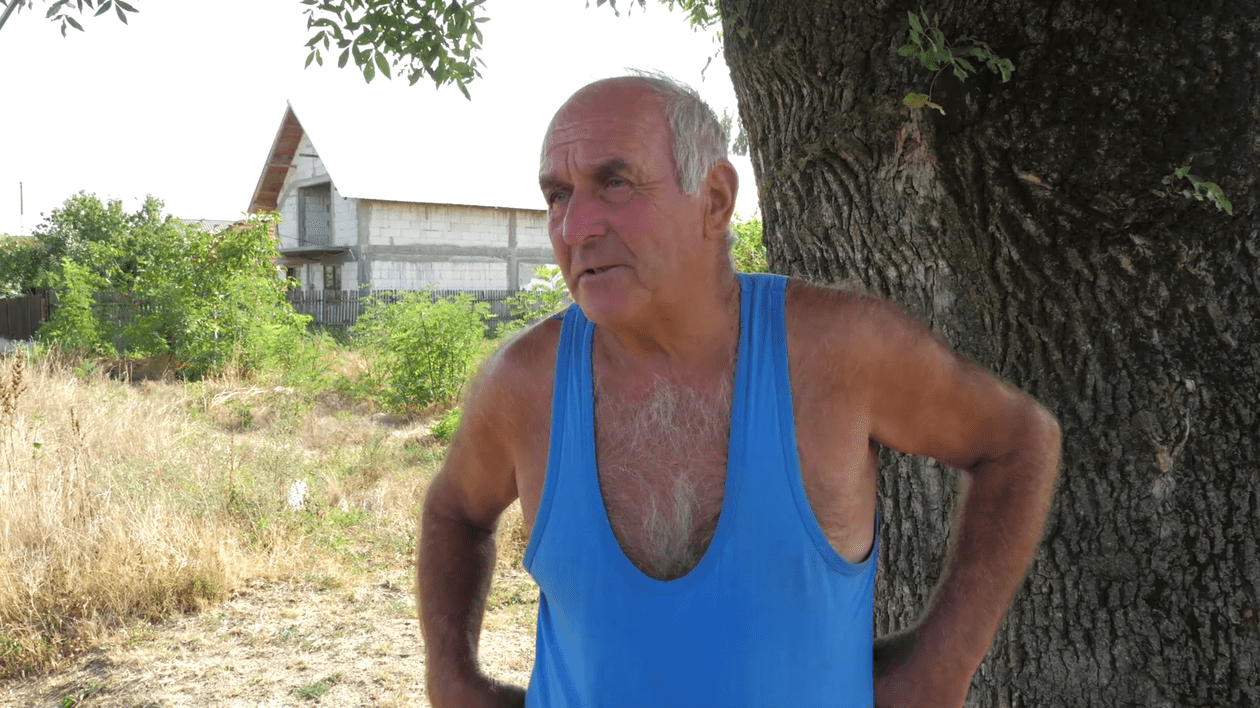 VIDEO | După ce DIICOT a confiscat canabisul din vie, sătenii din Stolnici, Argeş, şi-au amintit: “Acum câţiva ani, poliţiştii au scos cânepa din cimitir”