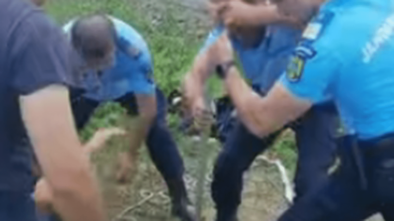 Intervenție de peste două ore pentru salvarea unui bursuc căzut într-un puț de 7 metri, în Buzău