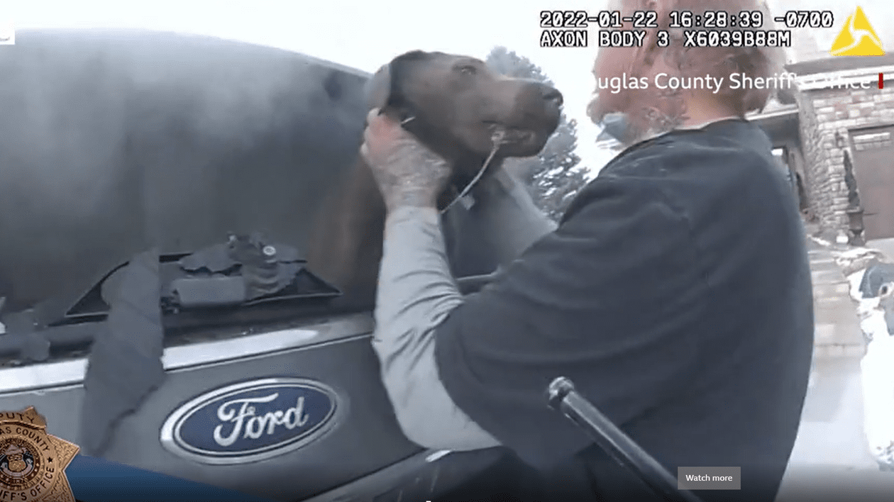 Momentul dramatic în care poliția din Colorado salvează un câine dintr-o mașină în flăcări