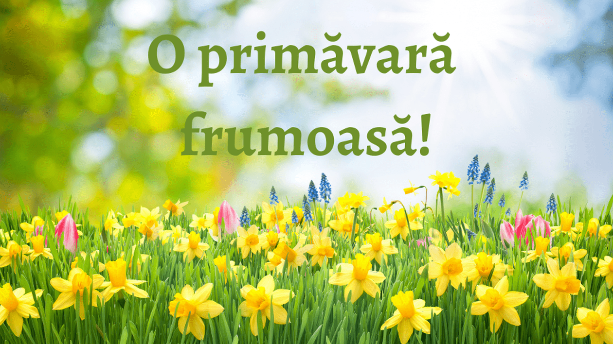 Mesaje de primavara-o primavara frumoasa