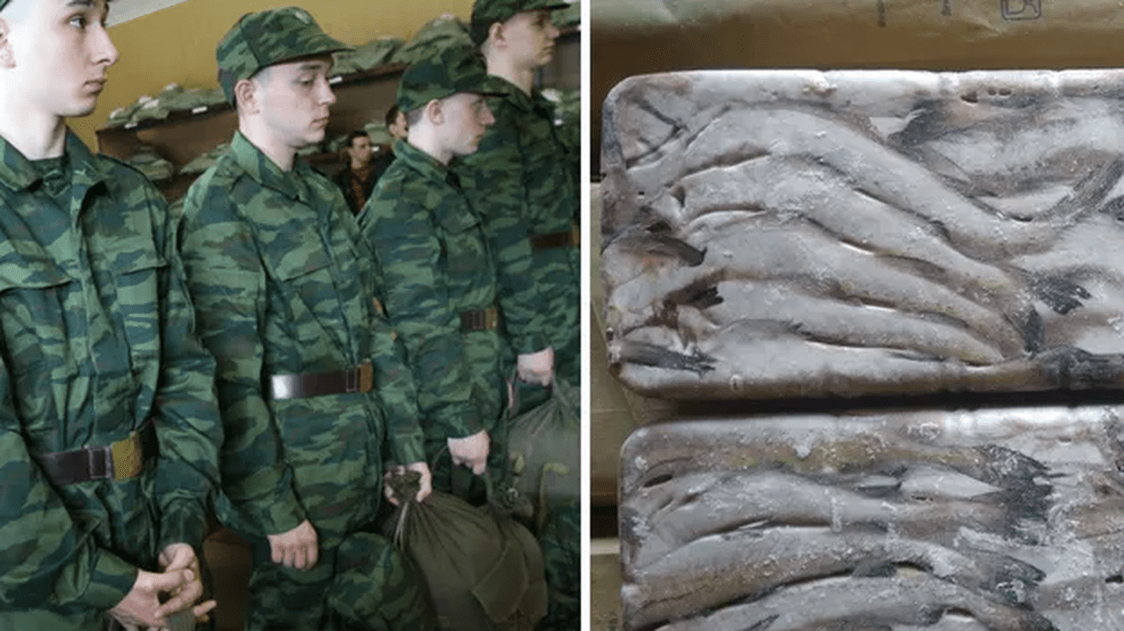 Familiilor rușilor mobilizați de pe insula Sahalin li se promit câte 5 kilograme de pește
