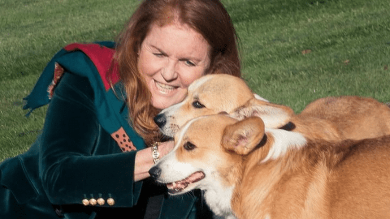 Imagini cu câinii Corgi ai reginei Elisabeta a II-a, publicate de ducesa de York: „Continuă să ofere iubire”