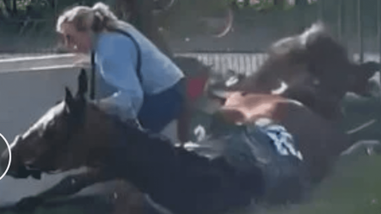 O femeie a fost strivită de doi cai ieșiți de pe pistă, care-și aruncaseră jocheii din șa, în timpul competiției Grand National de la Aintree