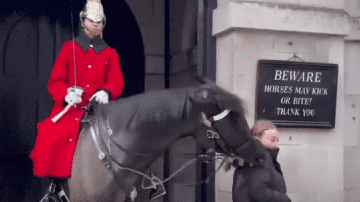 „Atenție, caii vă pot lovi sau mușca”. Turiștii care vor să facă poze cu soldații din Garda Regală nu țin cont de avertisment