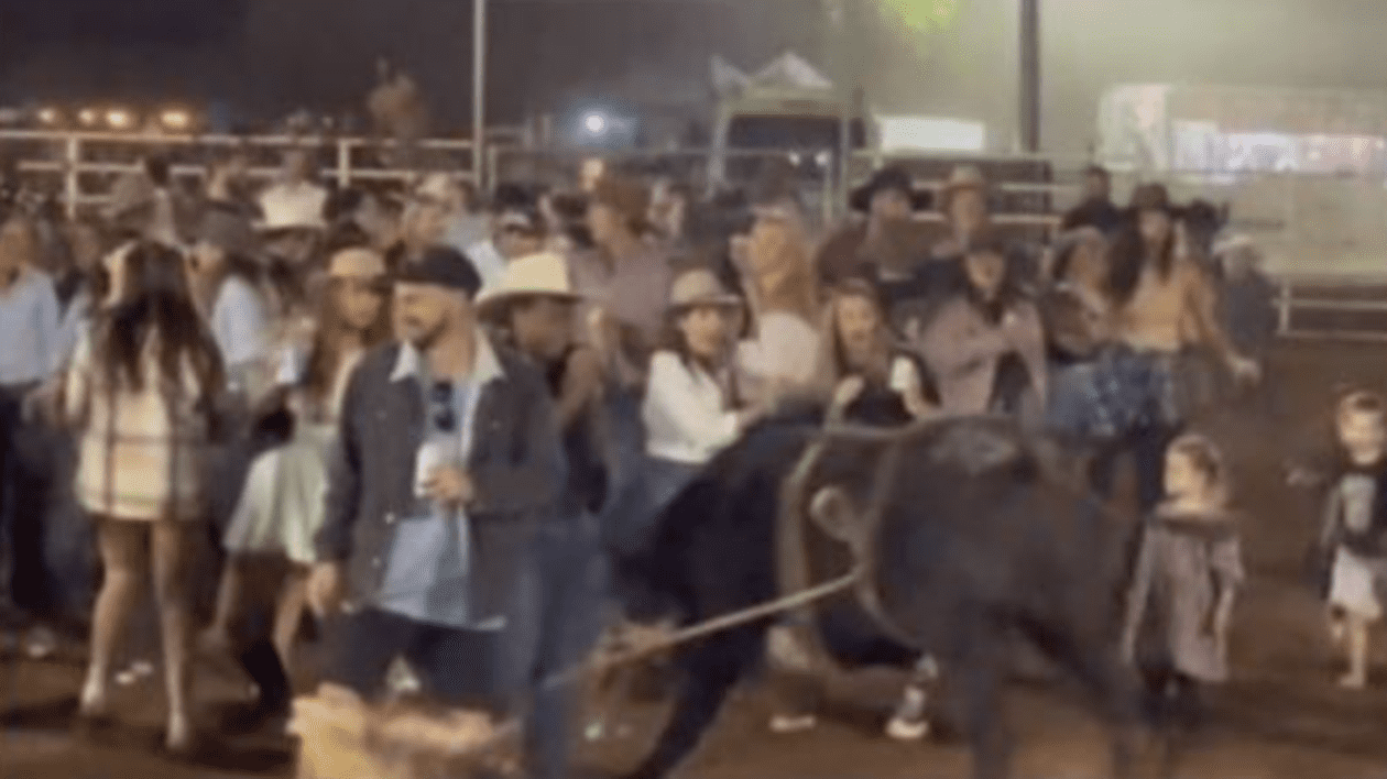 Un taur a scăpat din arenă și a intrat în spectatori, la un rodeo, în Australia. Un bărbat și o fetiță de 5 ani au ajuns la spital