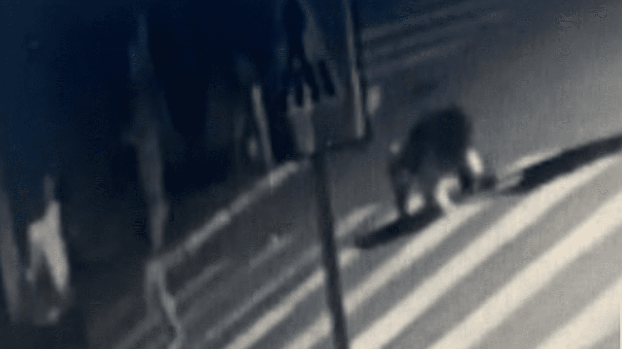 Mandate de arestare pentru cei doi adolescenți care au lovit și înjunghiat un tânăr de 17 ani, la Turnu Măgurele. Unul dintre agresori nu a fost prins