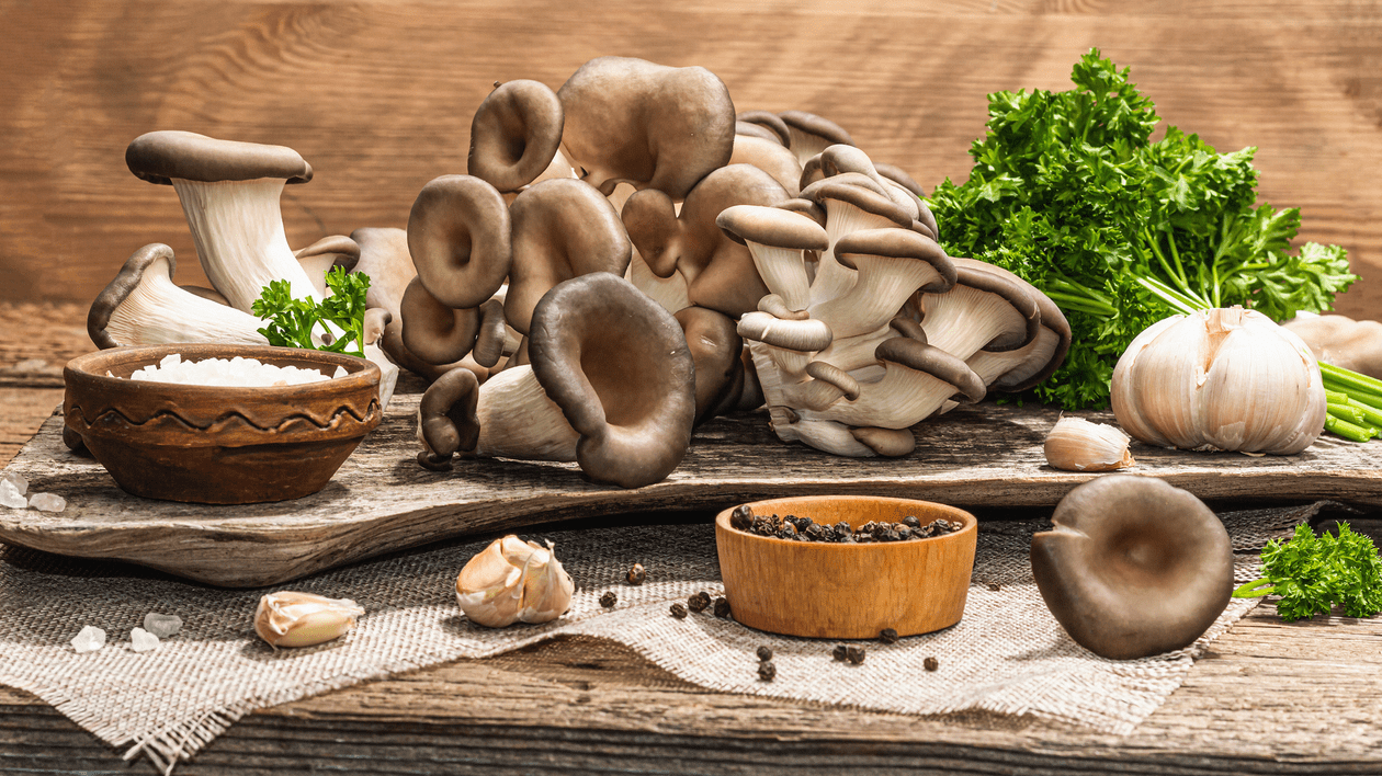 Rețete Cu Ciuperci Pleurotus | Libertatea
