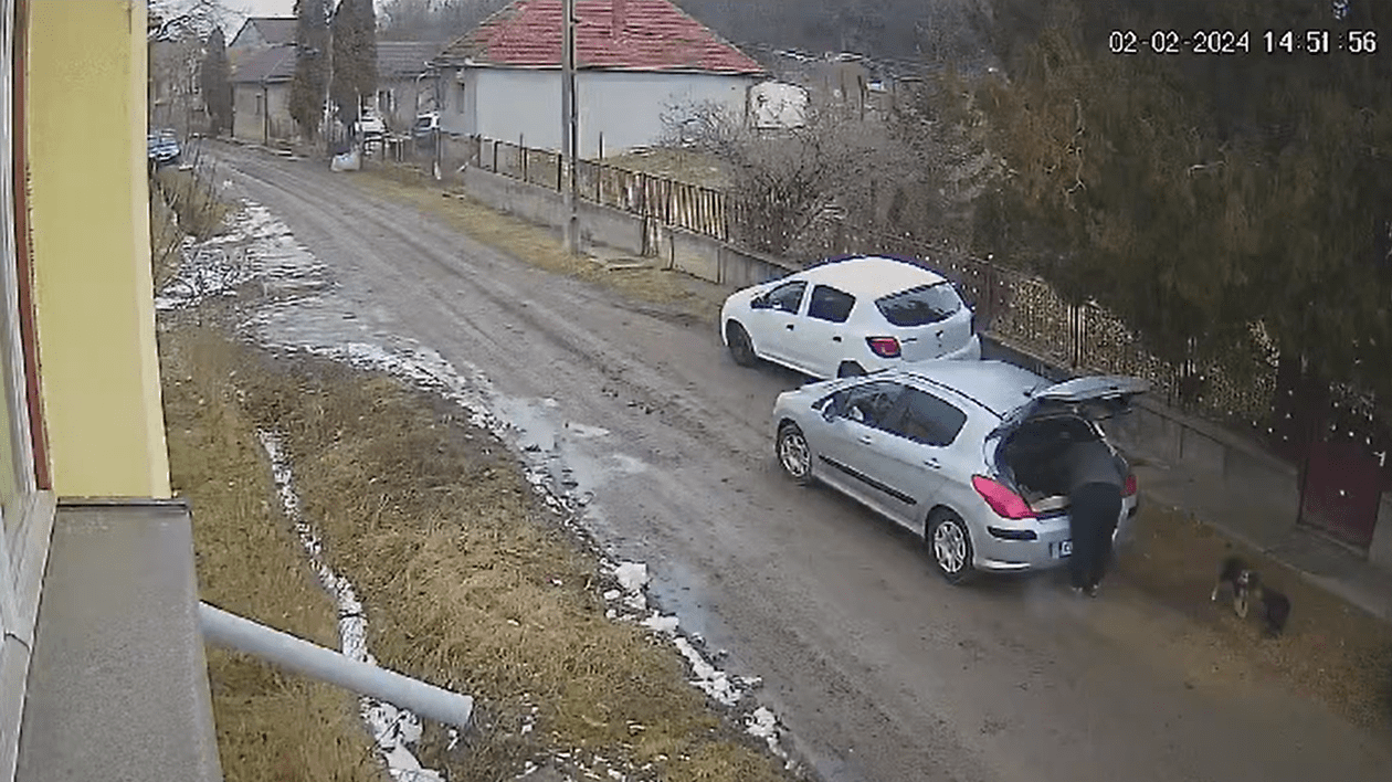Bărbat filmat când scoate din portbagaj trei pui de câine și îi abandonează, într-o comună din Cluj. Poliția îl caută | VIDEO