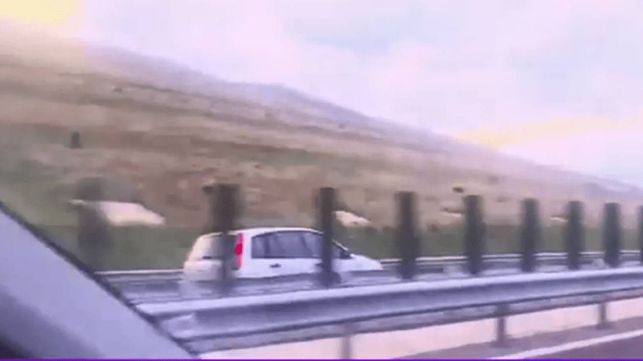 Șofer filmat circulând pe contrasens, pe A10 Sibiu - Cluj: „N-ai cum, frate!”