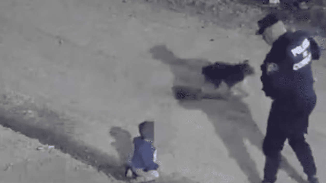 Un bebeluș a fost găsit de polițiștii argentinieni în mijlocul drumului, la ora 3 dimineața, după ce se furișase din casă | VIDEO