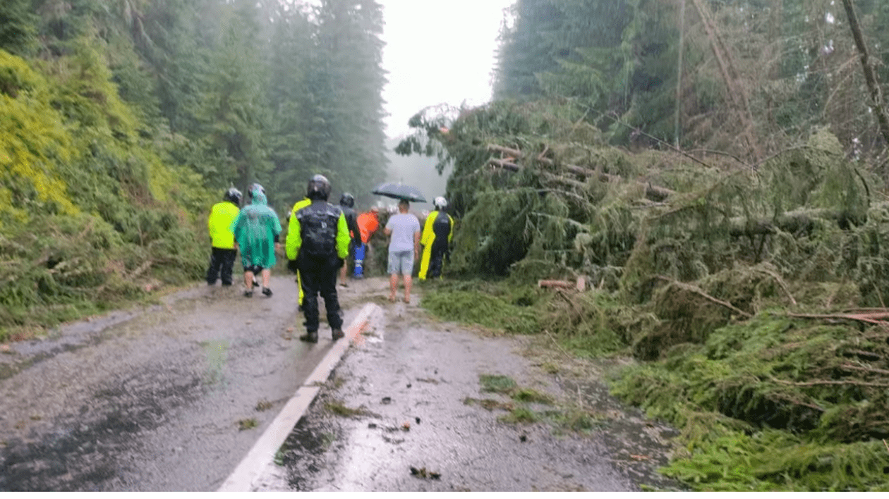 Zeci de mașini blocate pe Transalpina, după ce mai mulți copaci au căzut pe drum, în urma unei furtuni