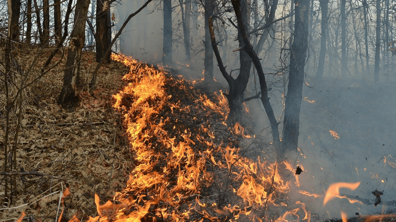 Incendiu major în Valea Călugărească. Focul, care se manifestă pe 5 hectare, a cuprins și o mașină