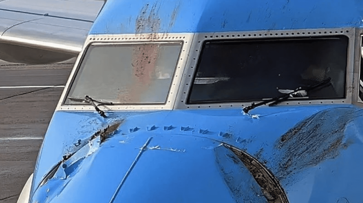avion Boeing 737 după ce a lovit 2 lebede