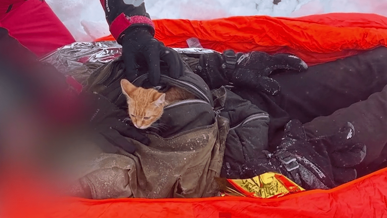Ucrainean salvat din Munții Maramureșului