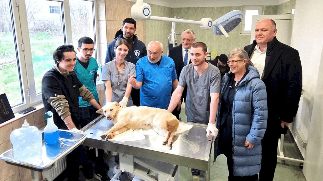 S-a deschis „Căsuța Veterinarului”. FOTO: Primăria Sectorului 1.