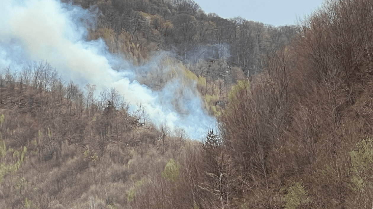 Un masiv incendiu de pădure a fost localizat în comuna Cetățeni din județul Argeș