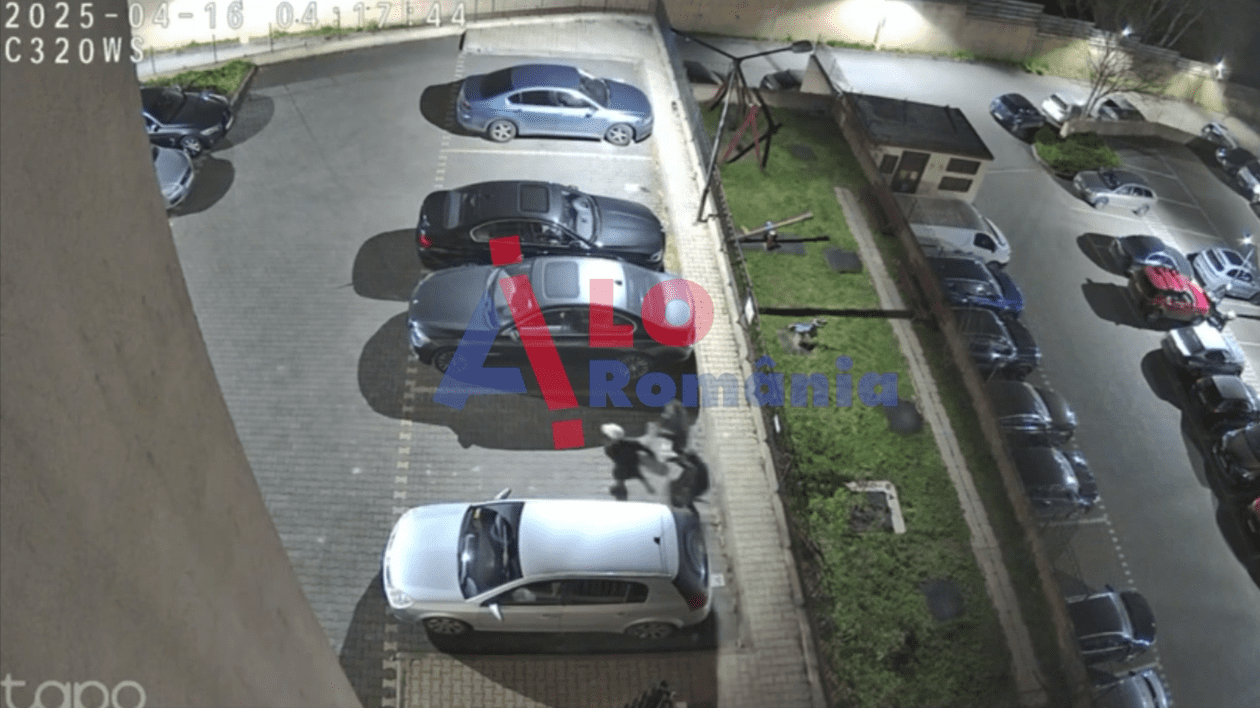 Tineri din Iași, filmați când vânează doi pui de căprioară pe străzile din oraș I VIDEO