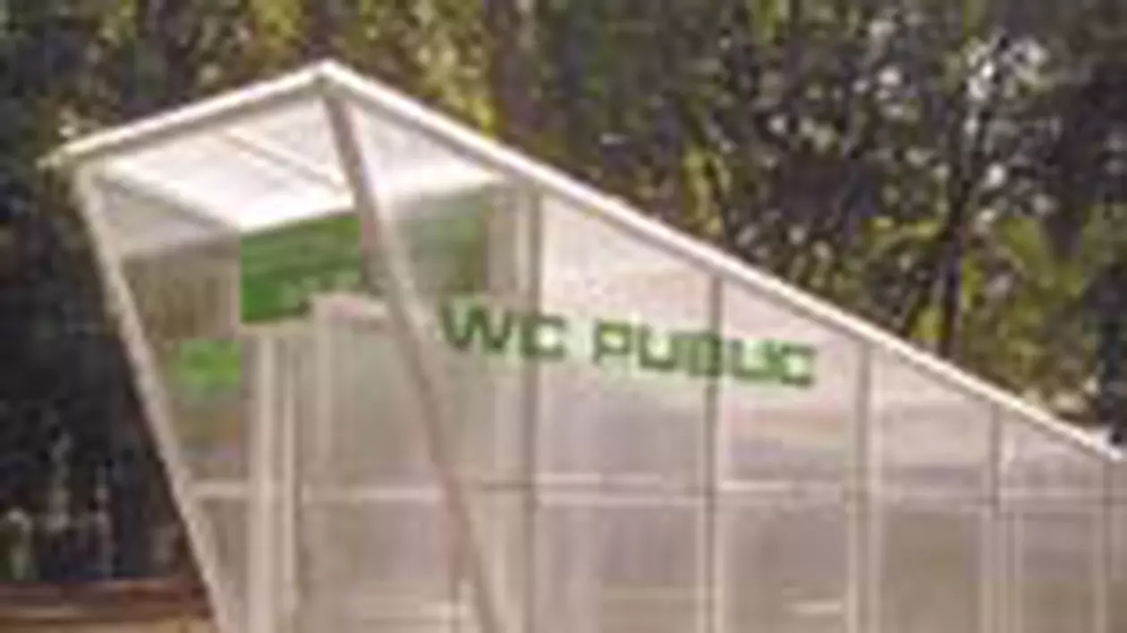 Asa arata un WC de 300.000 de lei