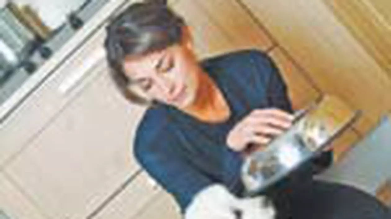 Animalele de companie, trecute la intretinere