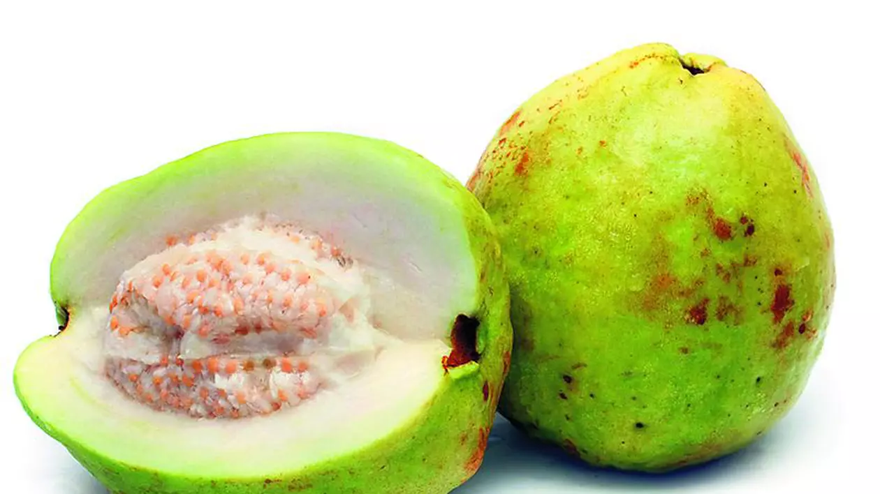 Guava, un fruct bogat în vitamina C