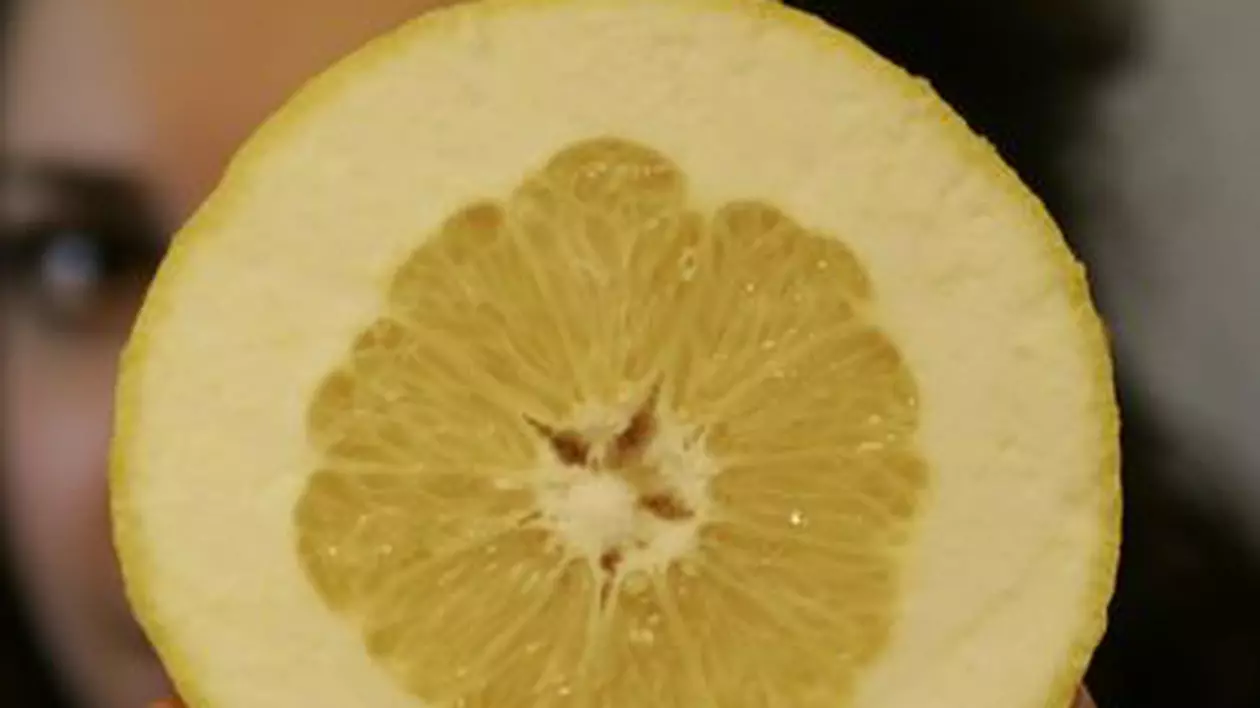 Uite ce grapefruit se vinde în Piaţa Crângaşi!