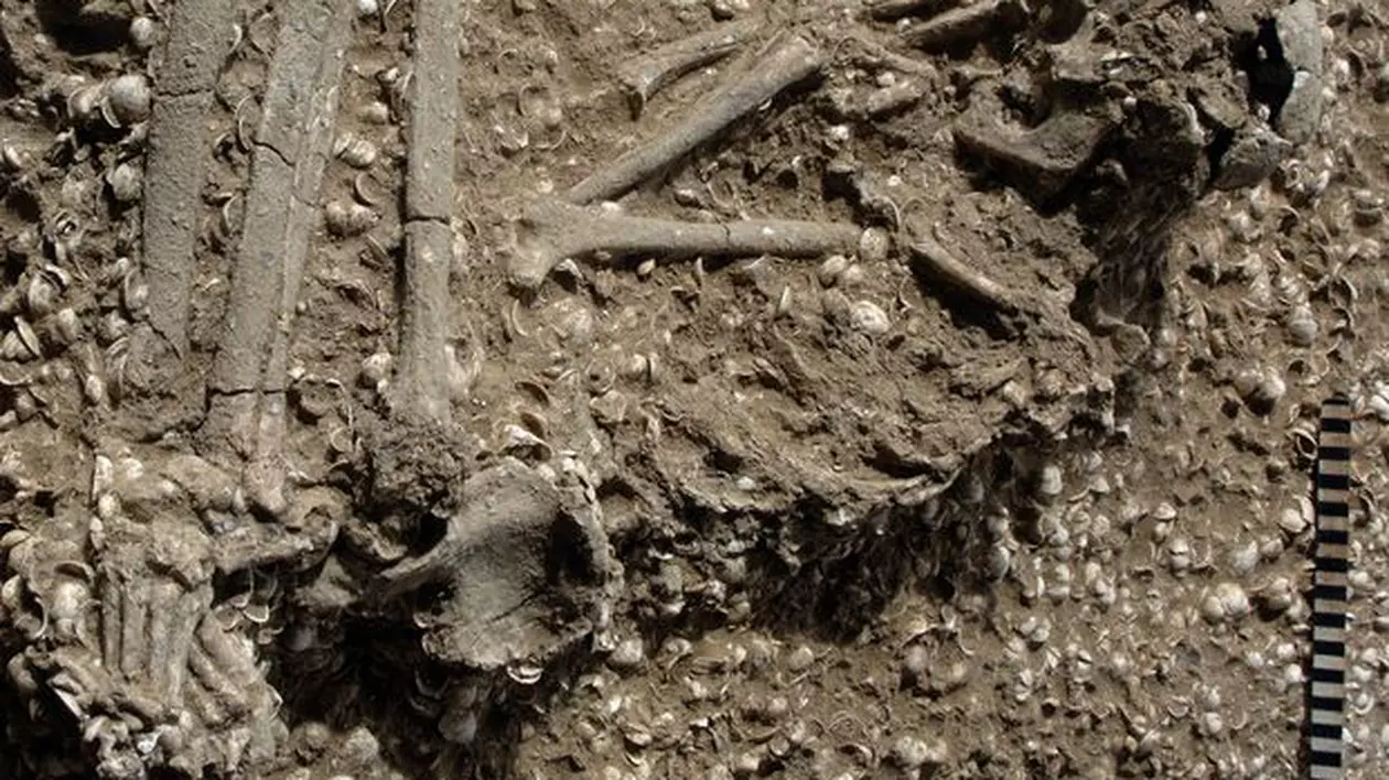 Schelet uman vechi de nouă milenii, descoperit la Buzău