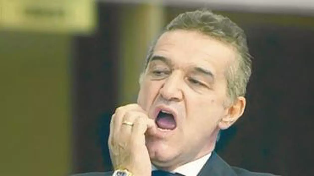 Gigi Becali: "Gărzile mele nu s-au atins de infractori"
