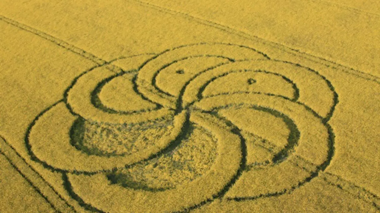 Cercuri misterioase în lanurile din Anglia
