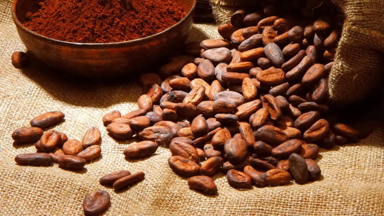 Cacaoa regenerează tenul
