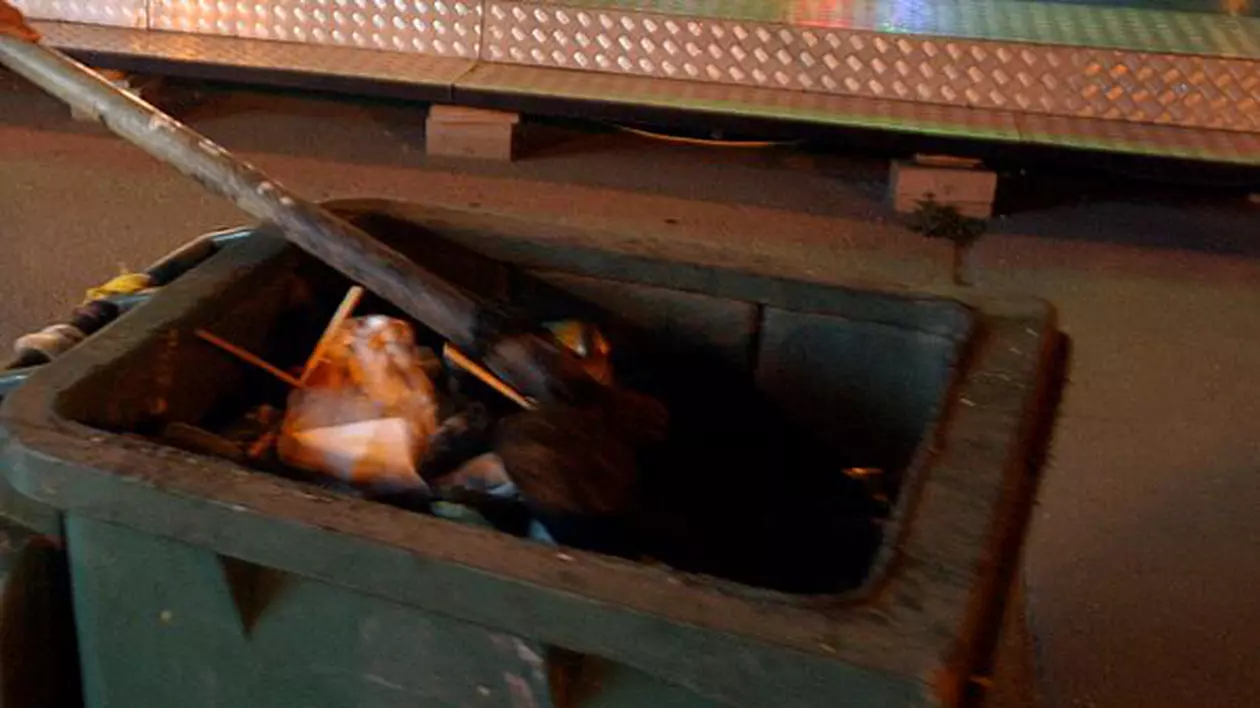 Descoperire macabră! Nou-născut găsit mort într-un container de gunoi din spatele Judecătoriei Craiova