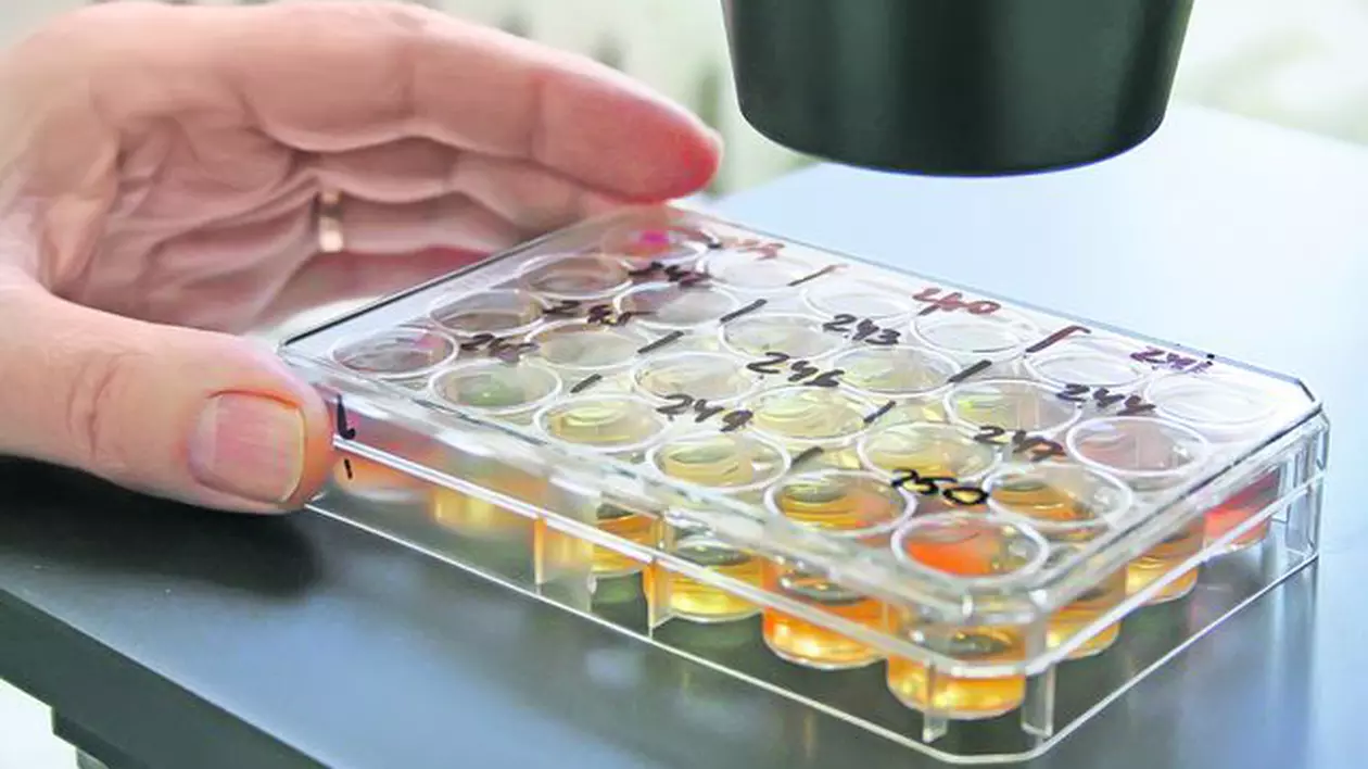 Salvaţi vaccinurile româneşti!