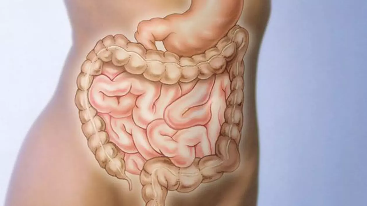Așa se reface flora intestinală!