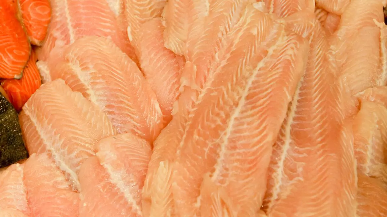 Şocant! Ai mâncat file de pangasius? Vezi de ce este acest peşte TOXIC şi ce rişti să păţeşti! | VIDEO