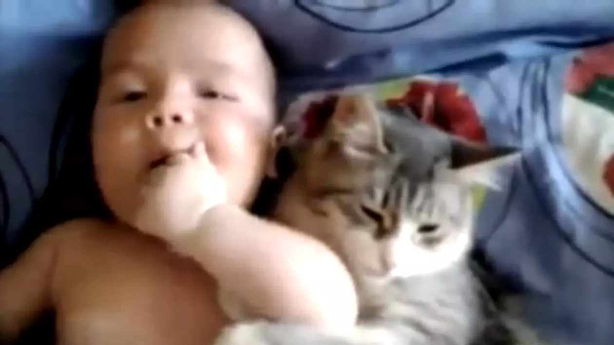 Acest clip A EMOŢIONAT INTERNETUL! Bebe şi pisica se iubesc la nebunie | VIDEO
