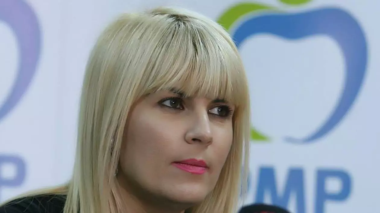 Elena Udrea: „PNL trebuie să-şi schimbe preşedintele şi pe cei care au susţinut alianţa cu PSD”